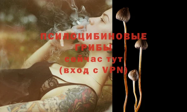 синтетический гашиш Нефтегорск