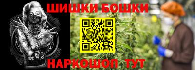 ешки Гай