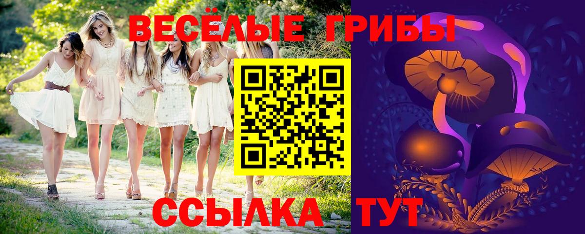 Новотроицк  Псилоцибиновые грибы Psilocybine cubensis  закладка  Вход с VPN 