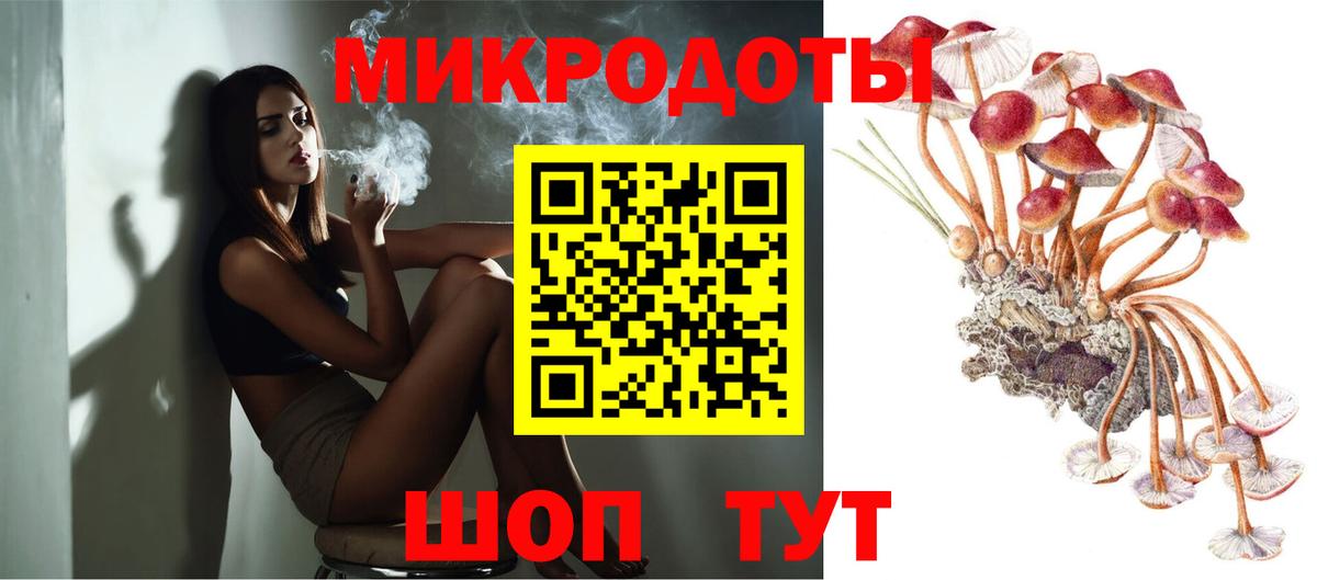 Псилоцибиновые грибы прущие грибы Новотроицк